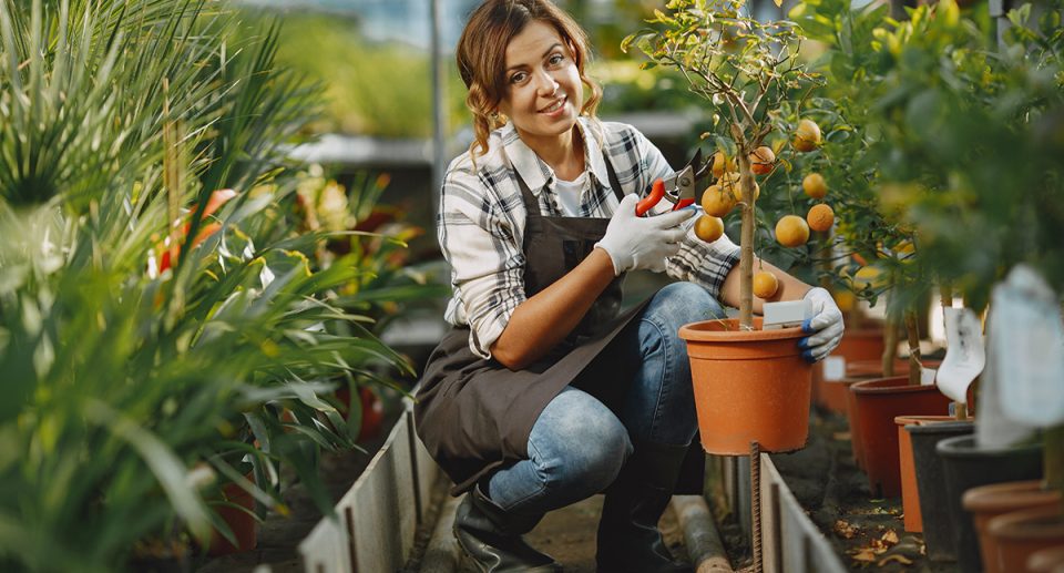 Simple reasons why gardening is good for you