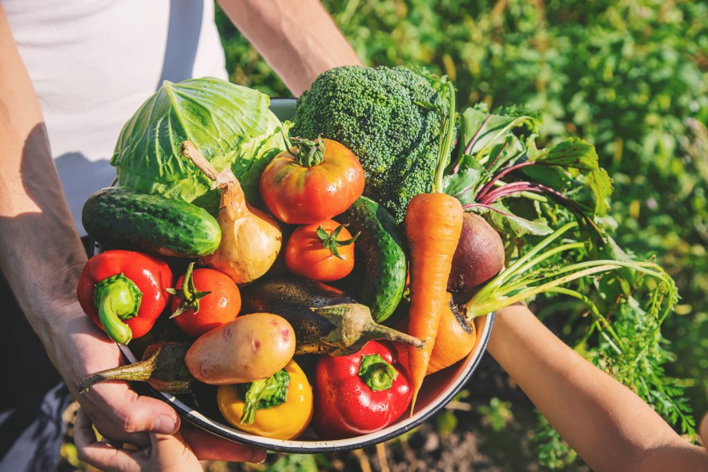 Growing your own food can help you eat much healthier.