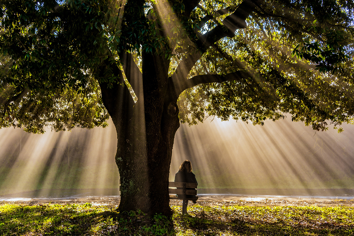 Happiness + success + compassion = the meaning of life?