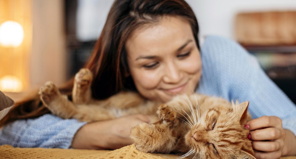 Why having a pet boosts your and your family’s health