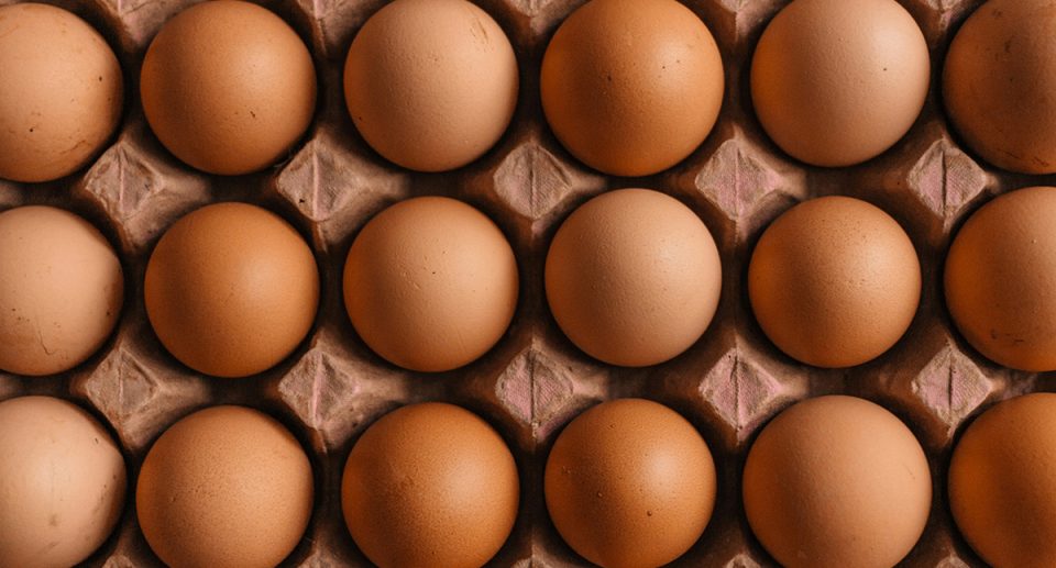 10 Reasons to eat egg-cellent food.