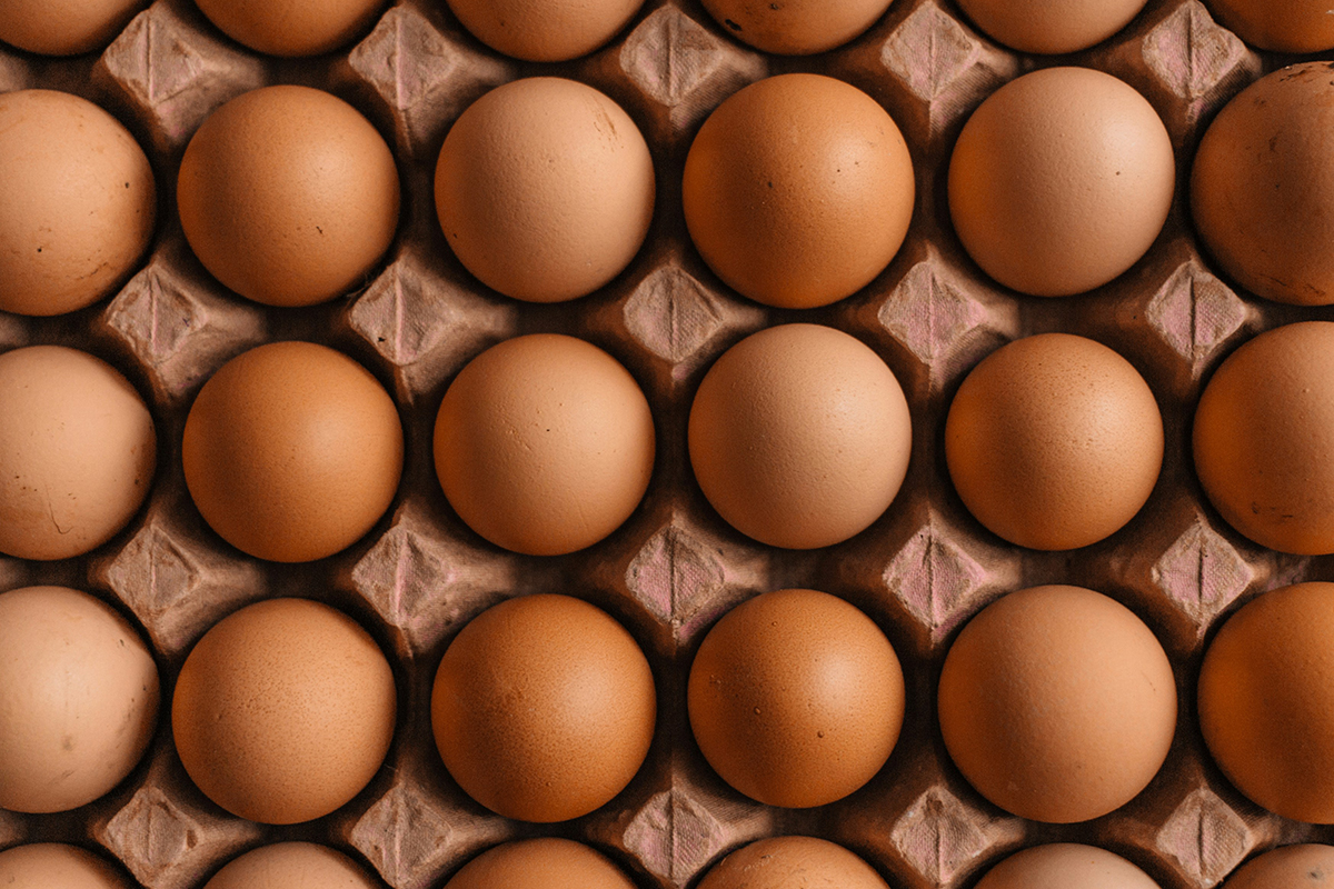 10 Reasons to eat egg-cellent food