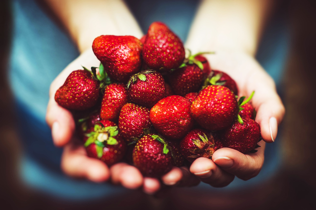 The health benefits of the nutritious and delicious strawberries